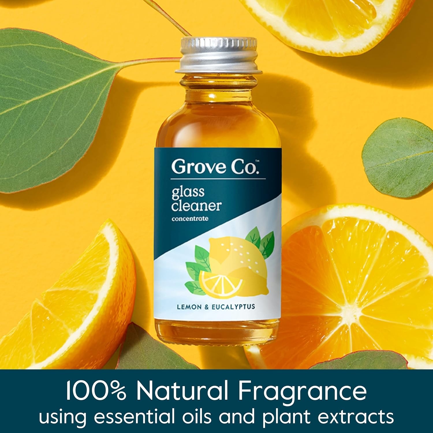 image:imageGrove Co Glass Cleaner Refill Concentrate 2 x 1 Fl Oz 1 x Reusable Glass Spray Bottle 16 Oz PlantBased Cleaning Supplies Bundle No Plastic Waste 100 Natural Lemon amp Eucalyptus Fragrance