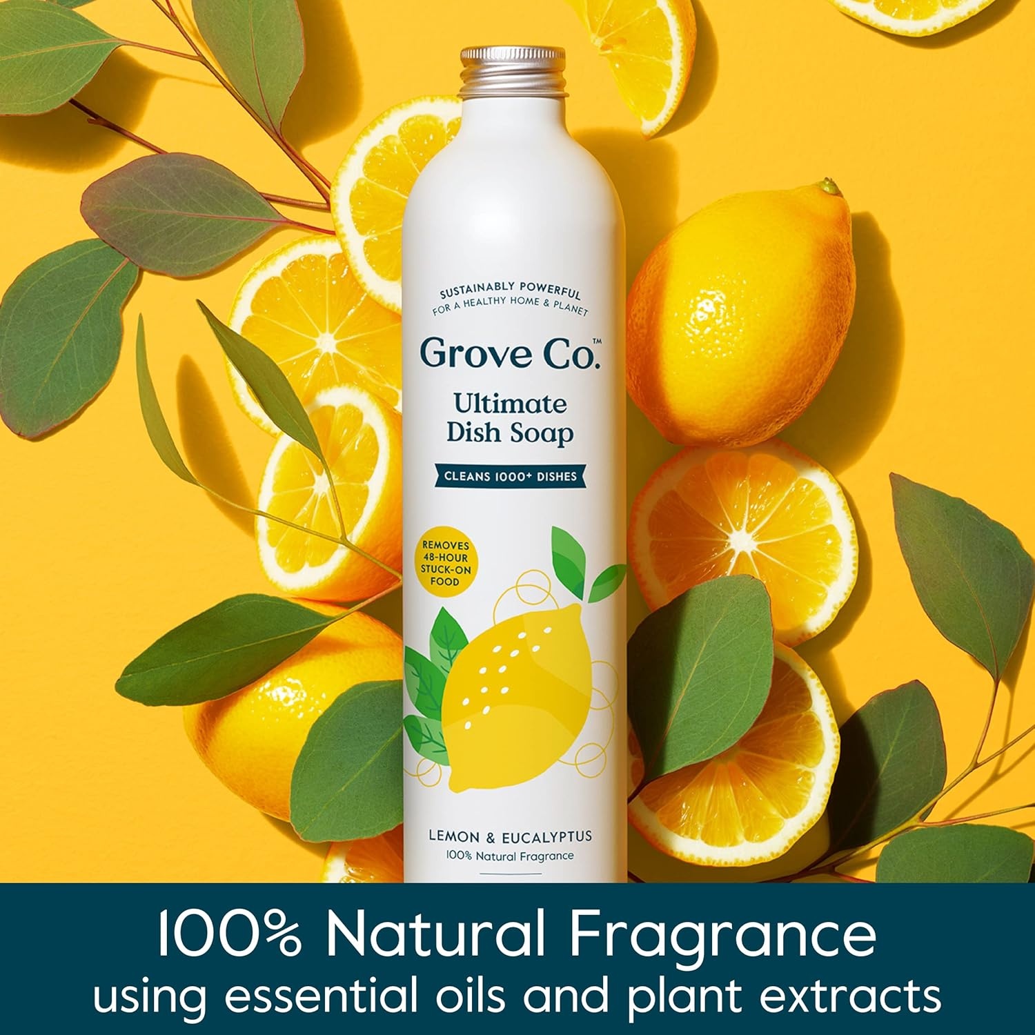 image:imageGrove Co Apple amp Pear Blossom Dish Soap Refill Bundle 3Pack of 16 oz Aluminum Bottles with Reusable Glass Soap Dispenser Natural Fragrance GreaseCutting PlantBased FormulaLemon Eucalyptus