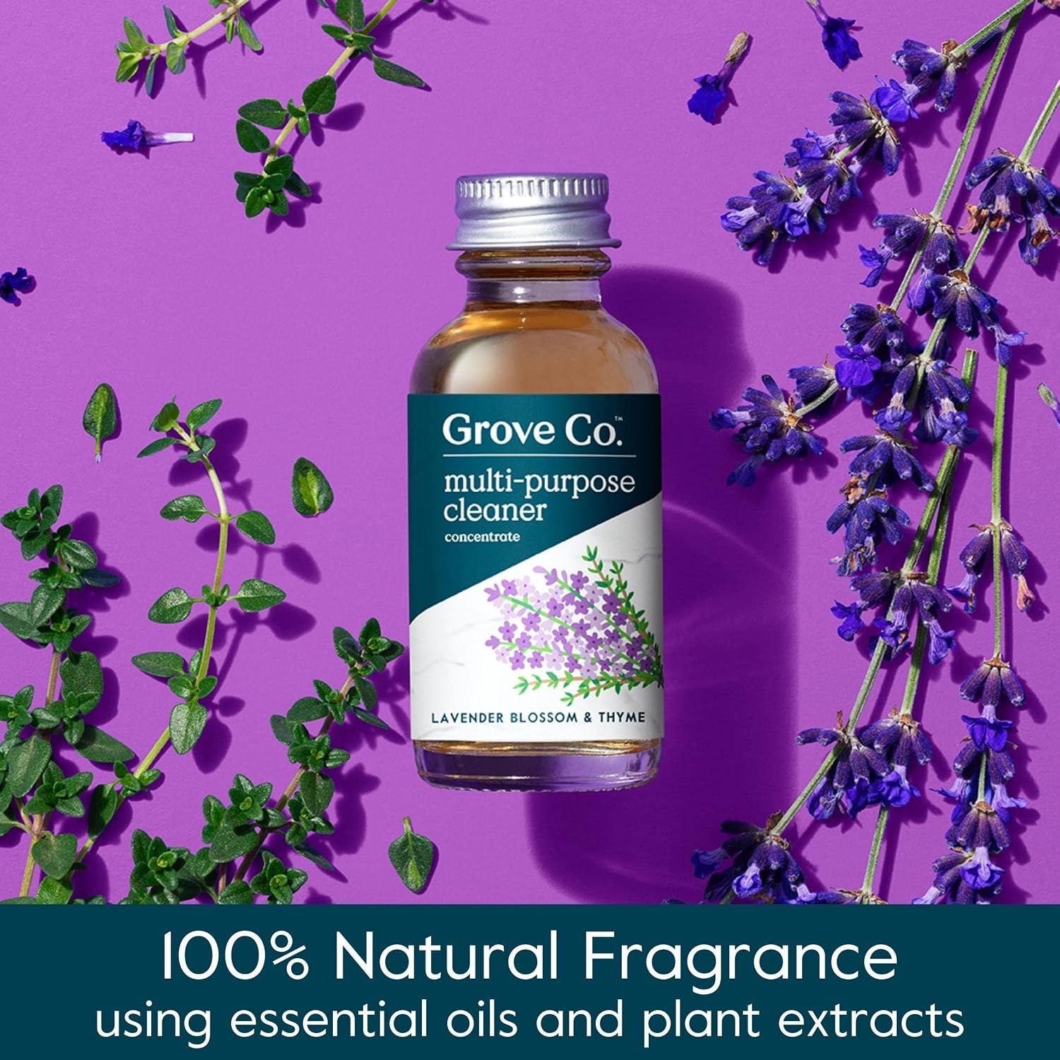 image:imageGrove Co Surface Care Bundle Multipurpose Cleaner Concentrate Refill with Reusable Glass Spray Bottle Lavender Blossom amp Thyme Scent 2Piece Set